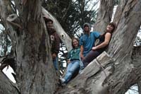 morro bay natural history museum 2009